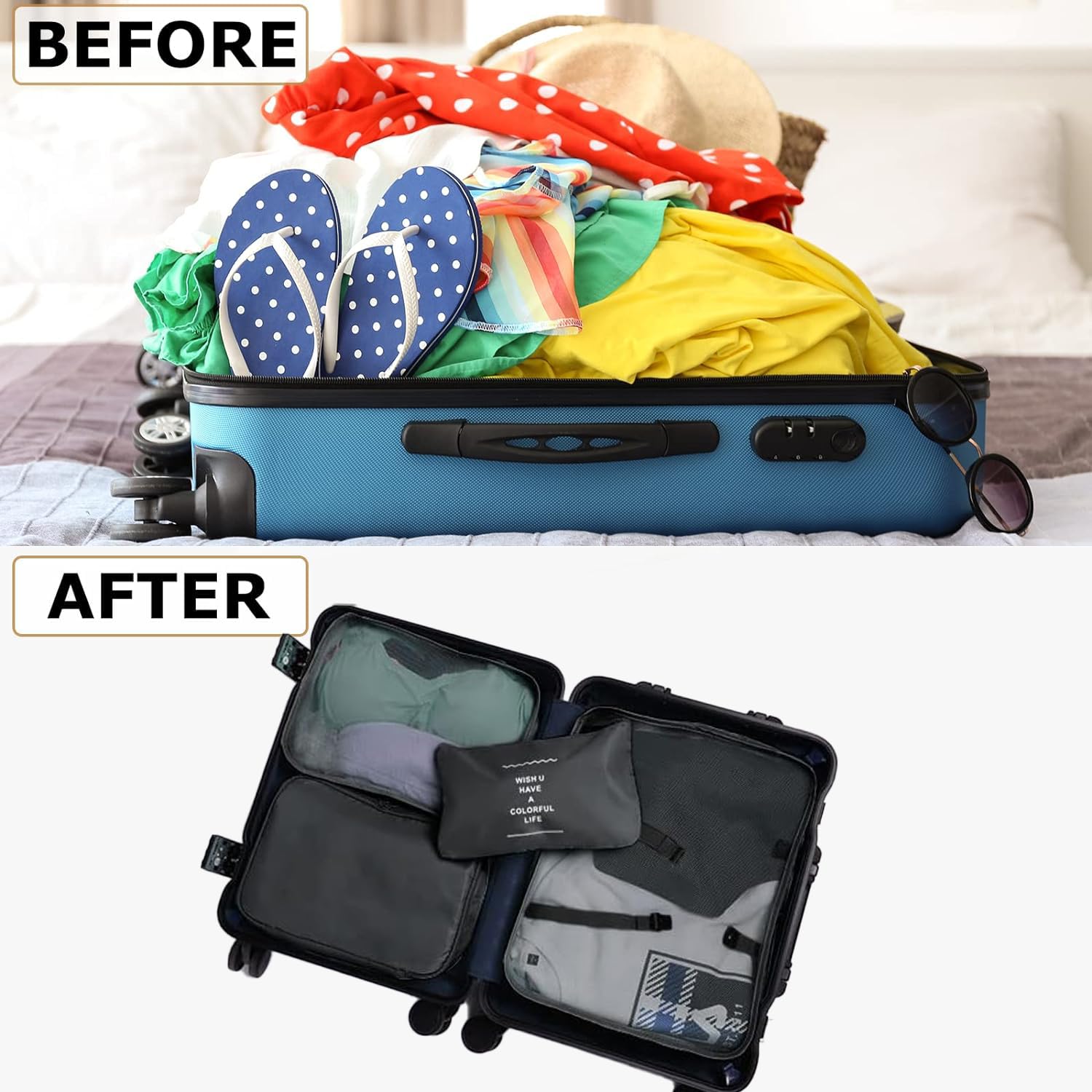 The Apricoat Travel Cubes (Full Back)