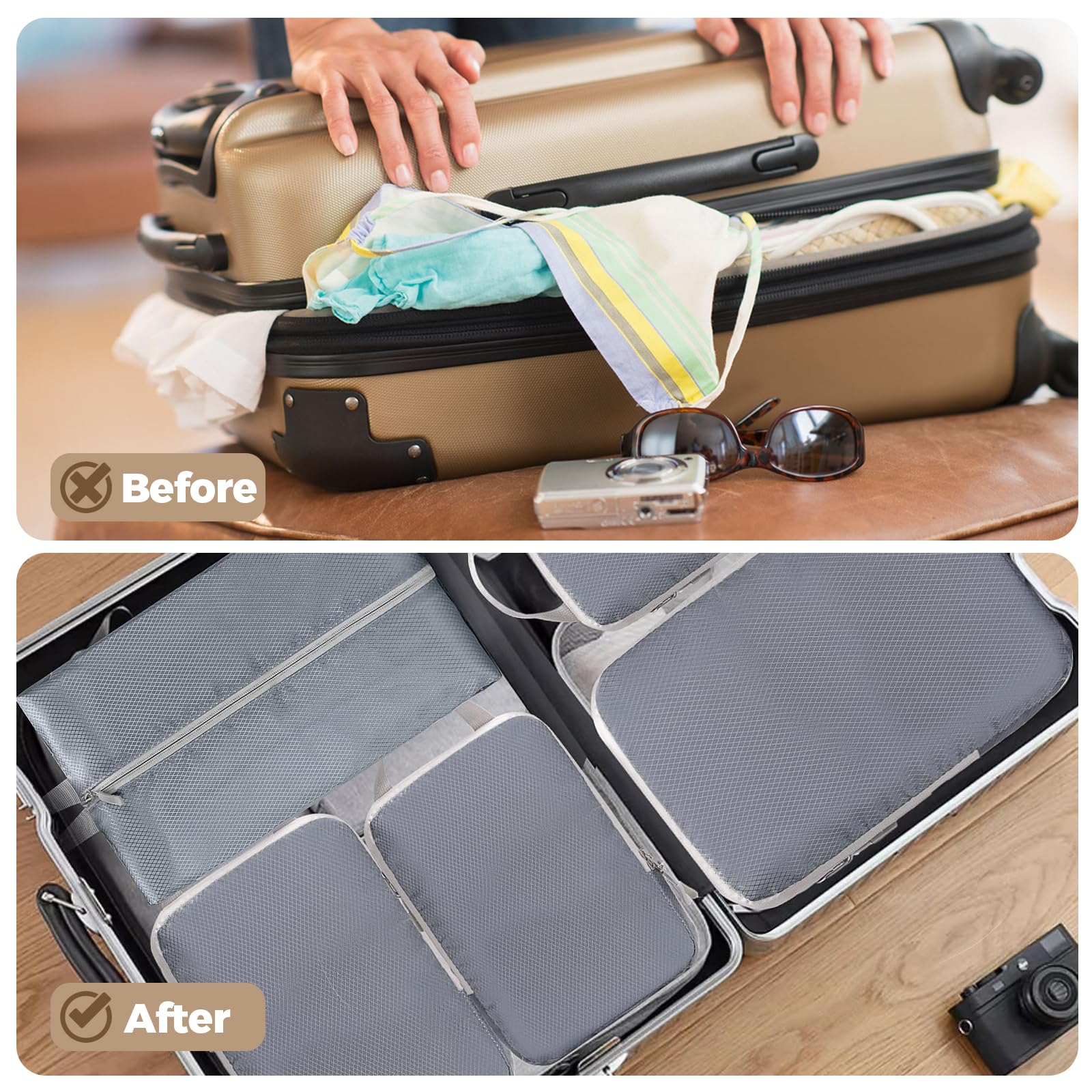 The Apricoat Travel Cubes (Full Back)
