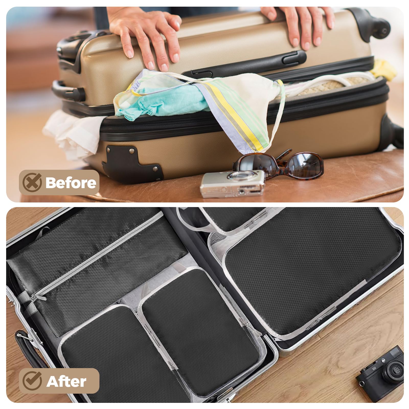 The Apricoat Travel Cubes (Full Back)